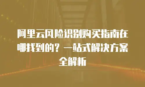阿里云风险识别购买指南在哪找到的？一站式解决方案全解析