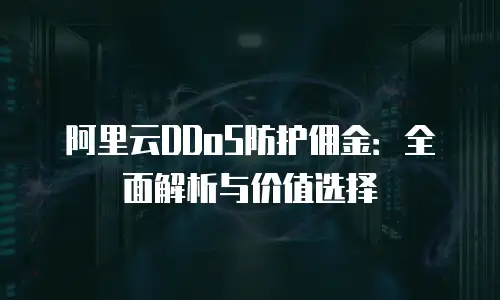 阿里云DDoS防护佣金：全面解析与价值选择