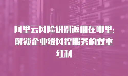 阿里云风险识别返佣在哪里：解锁企业级风控服务的双重红利