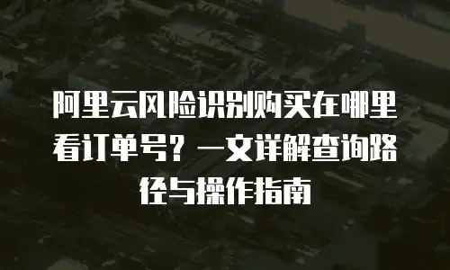 阿里云风险识别购买在哪里看订单号？一文详解查询路径与操作指南
