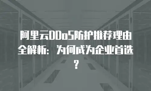 阿里云DDoS防护推荐理由全解析：为何成为企业首选？