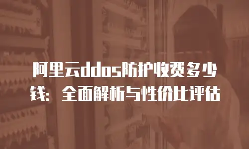阿里云ddos防护收费多少钱：全面解析与性价比评估