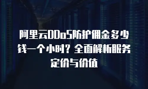阿里云DDoS防护佣金多少钱一个小时？全面解析服务定价与价值