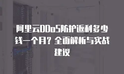 阿里云DDoS防护返利多少钱一个月？全面解析与实战建议