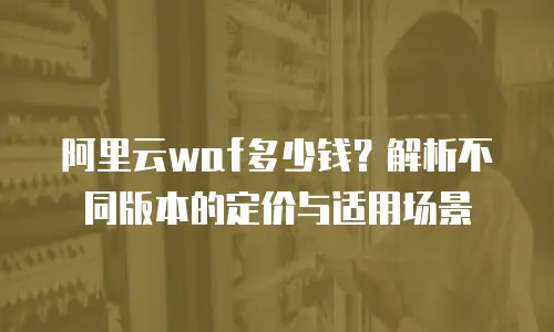 阿里云waf多少钱？解析不同版本的定价与适用场景