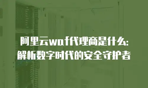 阿里云waf代理商是什么：解析数字时代的安全守护者
