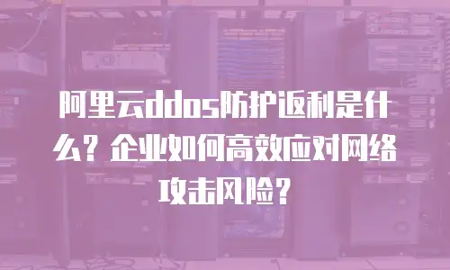阿里云ddos防护返利是什么？企业如何高效应对网络攻击风险？