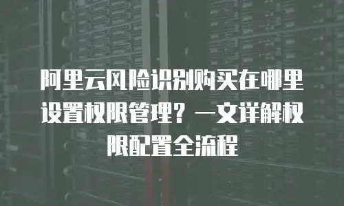 阿里云风险识别购买在哪里设置权限管理？一文详解权限配置全流程