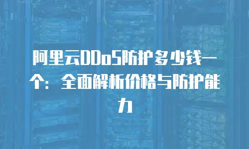 阿里云DDoS防护多少钱一个：全面解析价格与防护能力