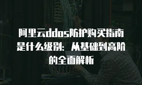 阿里云ddos防护购买指南是什么级别：从基础到高阶的全面解析