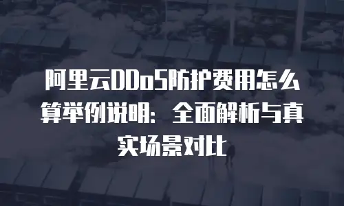 阿里云DDoS防护费用怎么算举例说明：全面解析与真实场景对比