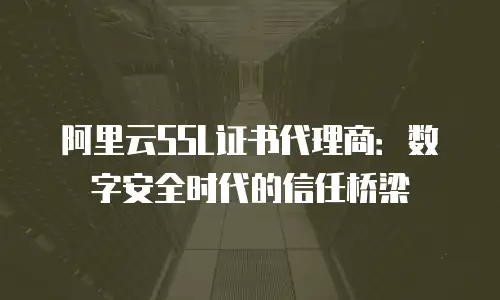 阿里云SSL证书代理商：数字安全时代的信任桥梁