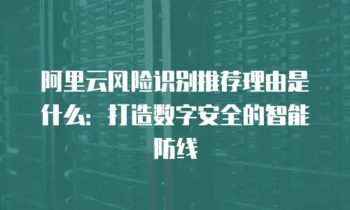 阿里云风险识别推荐理由是什么：打造数字安全的智能防线