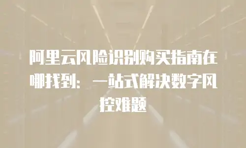 阿里云风险识别购买指南在哪找到：一站式解决数字风控难题