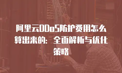 阿里云DDoS防护费用怎么算出来的：全面解析与优化策略