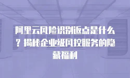 阿里云风险识别返点是什么？揭秘企业级风控服务的隐藏福利