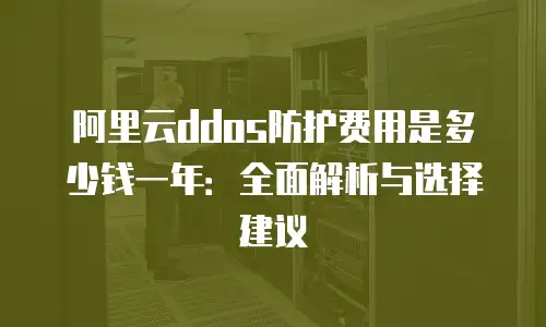 阿里云ddos防护费用是多少钱一年：全面解析与选择建议
