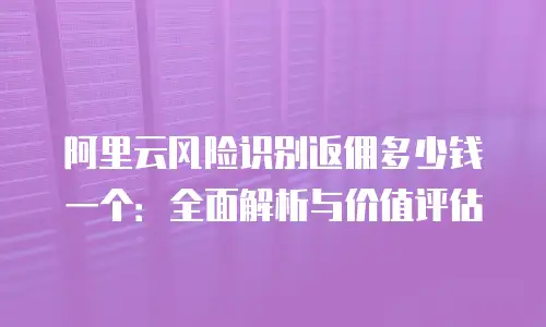 阿里云风险识别返佣多少钱一个：全面解析与价值评估