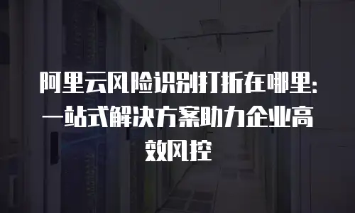 阿里云风险识别打折在哪里：一站式解决方案助力企业高效风控