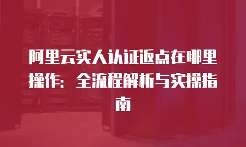 阿里云实人认证返点在哪里操作：全流程解析与实操指南