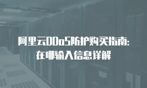 阿里云DDoS防护购买指南：在哪输入信息详解