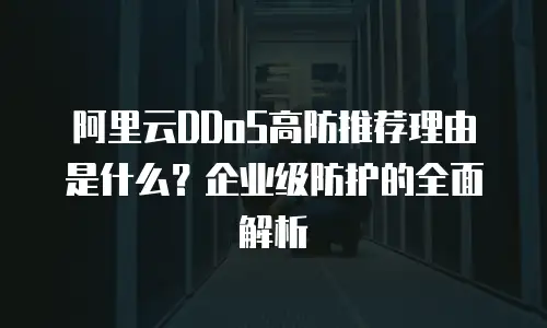 阿里云DDoS高防推荐理由是什么？企业级防护的全面解析