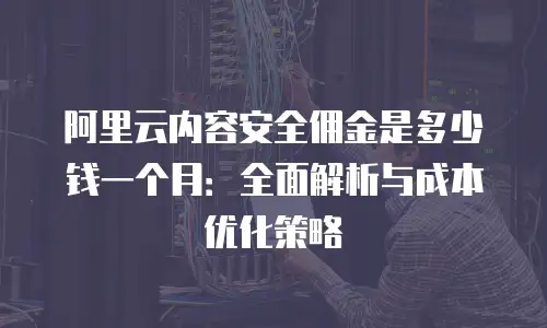 阿里云内容安全佣金是多少钱一个月：全面解析与成本优化策略