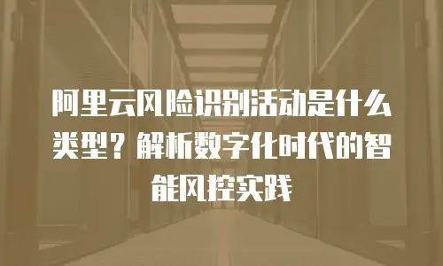 阿里云风险识别活动是什么类型？解析数字化时代的智能风控实践