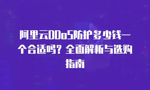 阿里云DDoS防护多少钱一个合适吗？全面解析与选购指南