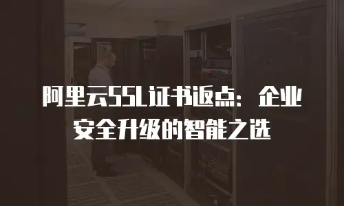 阿里云SSL证书返点：企业安全升级的智能之选