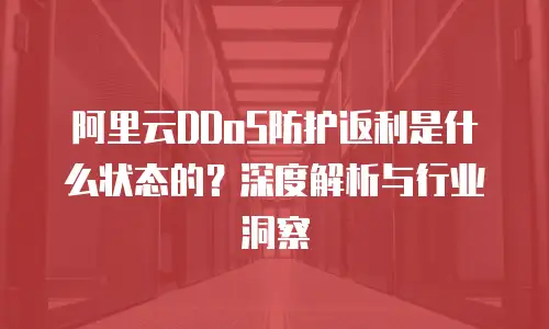 阿里云DDoS防护返利是什么状态的？深度解析与行业洞察