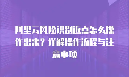 阿里云风险识别返点怎么操作出来？详解操作流程与注意事项