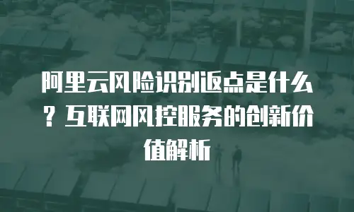 阿里云风险识别返点是什么？互联网风控服务的创新价值解析