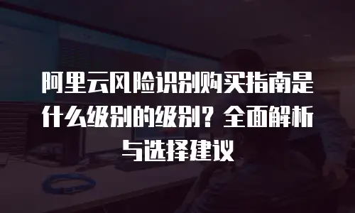 阿里云风险识别购买指南是什么级别的级别？全面解析与选择建议