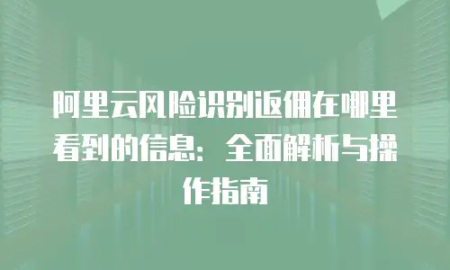阿里云风险识别返佣在哪里看到的信息：全面解析与操作指南