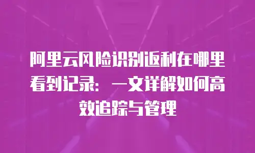 阿里云风险识别返利在哪里看到记录：一文详解如何高效追踪与管理