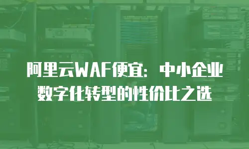 阿里云WAF便宜：中小企业数字化转型的性价比之选