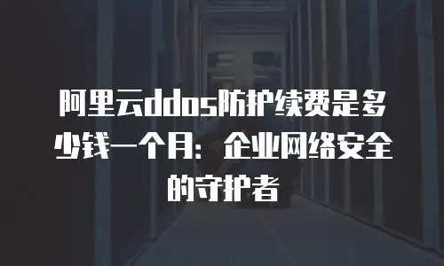 阿里云ddos防护续费是多少钱一个月：企业网络安全的守护者
