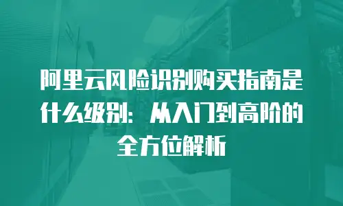 阿里云风险识别购买指南是什么级别：从入门到高阶的全方位解析