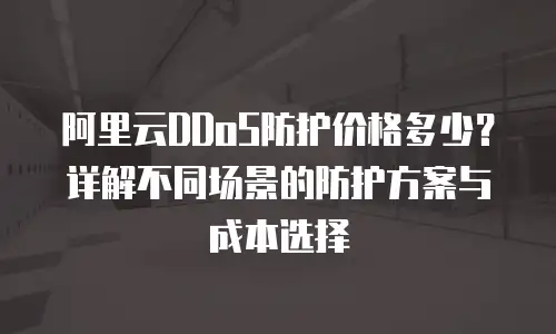 阿里云DDoS防护价格多少？详解不同场景的防护方案与成本选择