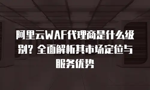 阿里云WAF代理商是什么级别？全面解析其市场定位与服务优势