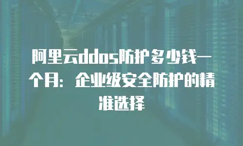 阿里云ddos防护多少钱一个月：企业级安全防护的精准选择