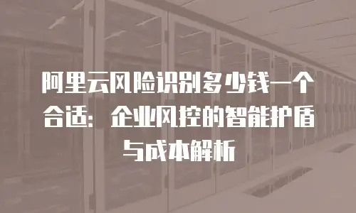 阿里云风险识别多少钱一个合适：企业风控的智能护盾与成本解析