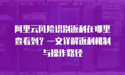 阿里云风险识别返利在哪里查看到？一文详解返利机制与操作路径