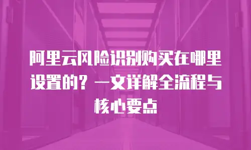 阿里云风险识别购买在哪里设置的？一文详解全流程与核心要点