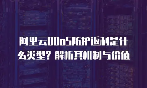 阿里云DDoS防护返利是什么类型？解析其机制与价值