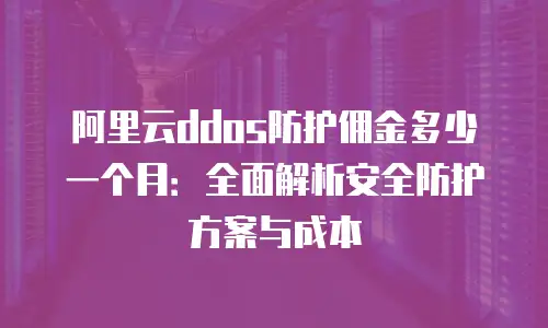 阿里云ddos防护佣金多少一个月：全面解析安全防护方案与成本