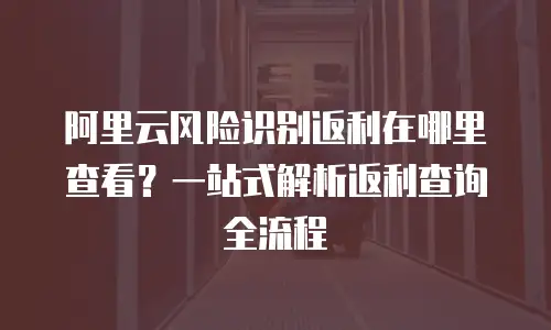 阿里云风险识别返利在哪里查看？一站式解析返利查询全流程