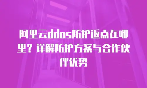 阿里云ddos防护返点在哪里？详解防护方案与合作伙伴优势