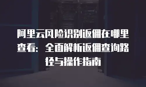 阿里云风险识别返佣在哪里查看：全面解析返佣查询路径与操作指南